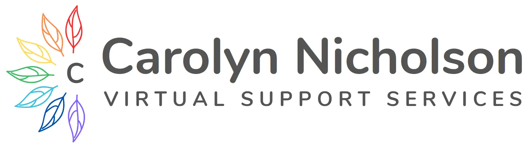 A logo with the name "Carolyn Nicholson" in bold letters and the phrase "Virtual Support Services" below it. A colourful, circular arrangement of leaves surrounds the letter "C" in the name.